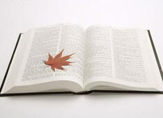 黄蜂大胜，维金斯成为全场焦点